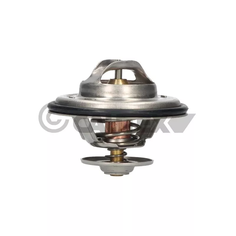 Thermostat, liquide de refroidissement CAUTEX 770194