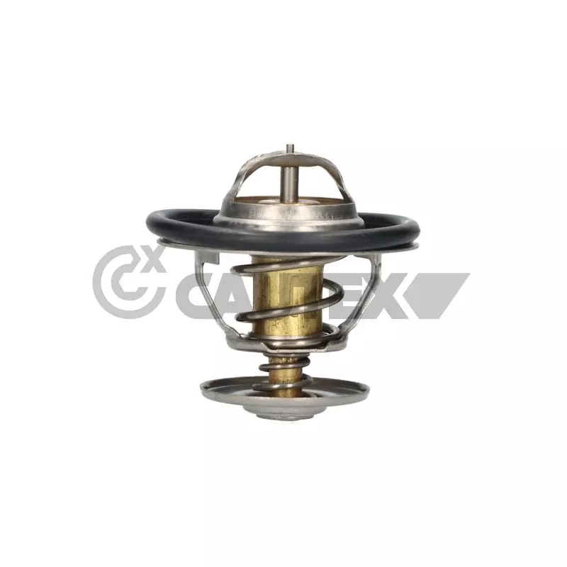 Thermostat, liquide de refroidissement CAUTEX 770197
