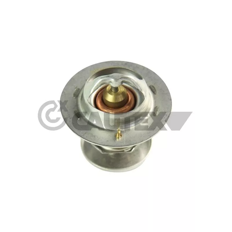 Thermostat, liquide de refroidissement CAUTEX 770213