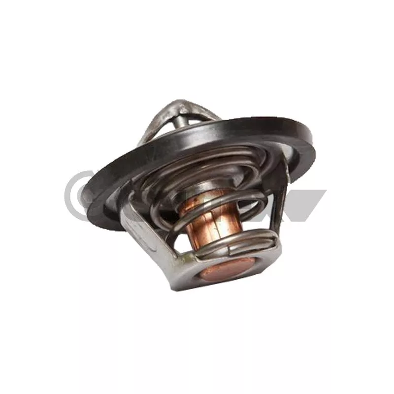 Thermostat, liquide de refroidissement CAUTEX 770216