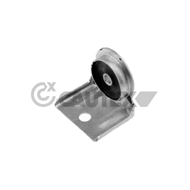 Suspension, radiateur CAUTEX 770282