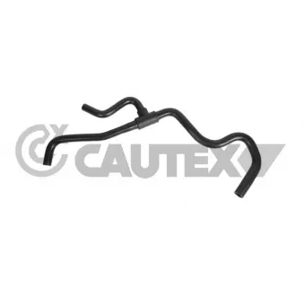 Durite de radiateur CAUTEX 770337