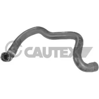 Durite de radiateur CAUTEX 770355