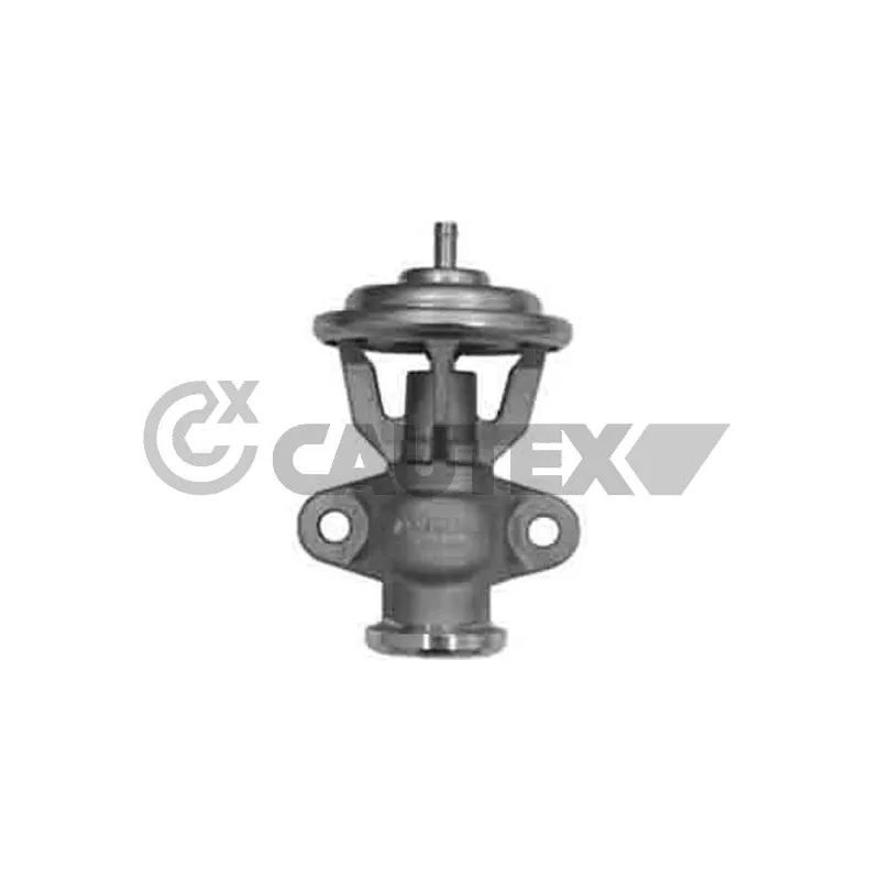 Vanne EGR CAUTEX 770394