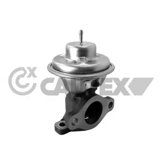 Vanne EGR CAUTEX 770400