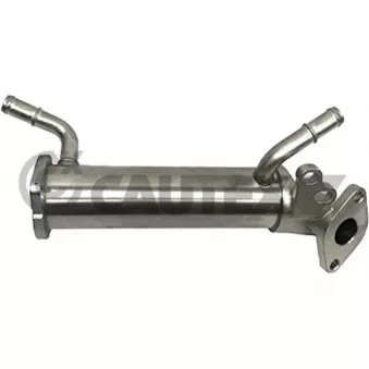Radiateur, réaspiration des gaz d'échappement CAUTEX 770401