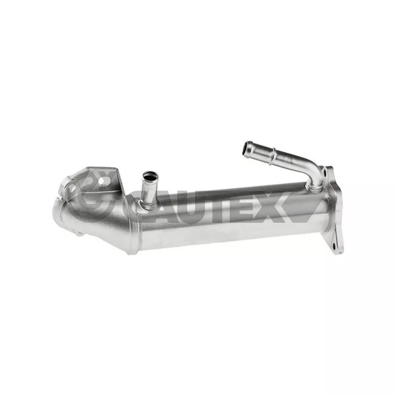 Radiateur, réaspiration des gaz d'échappement CAUTEX 770404