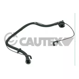 Tuyau, ventilation de carter-moteur CAUTEX 770490