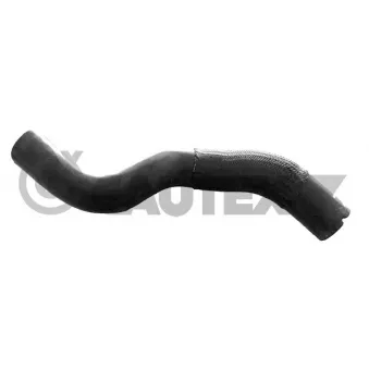 Durite de radiateur CAUTEX 770496