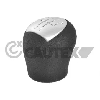 Pommeau CAUTEX 770534