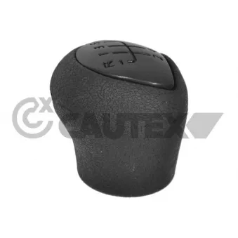 Pommeau CAUTEX 770535