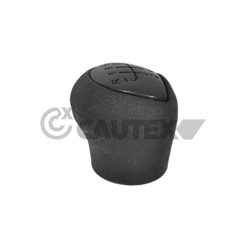 Pommeau CAUTEX 770535