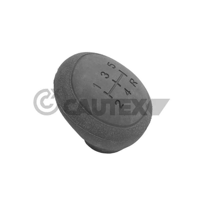 Pommeau CAUTEX 770546