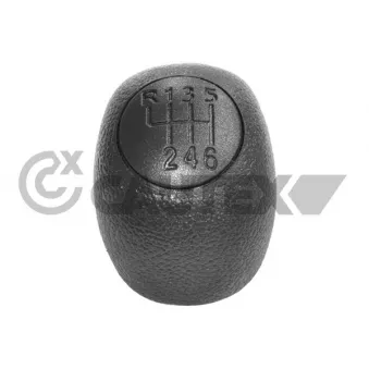 Pommeau CAUTEX
