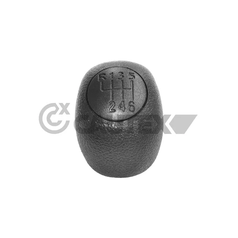 Pommeau CAUTEX 770554