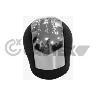 Pommeau CAUTEX 770576