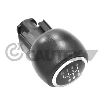 Pommeau CAUTEX 770579