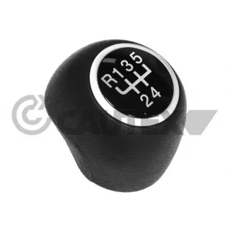 Pommeau CAUTEX 770629