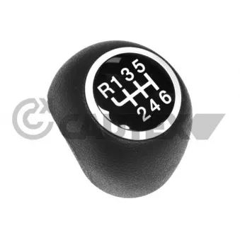 Pommeau CAUTEX 770630