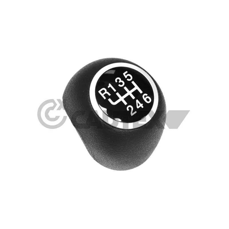 Pommeau CAUTEX 770630