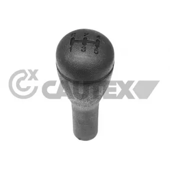 Pommeau CAUTEX