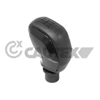 Pommeau CAUTEX 770643