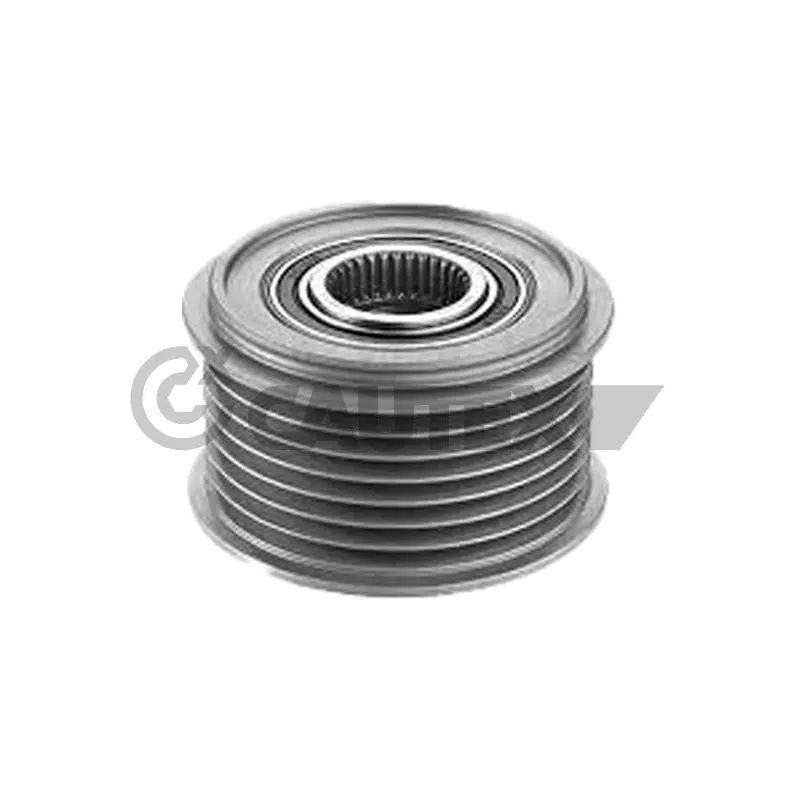 Poulie roue libre, alternateur CAUTEX 770796