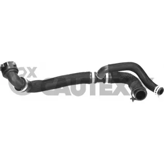 Durite de radiateur CAUTEX 770811
