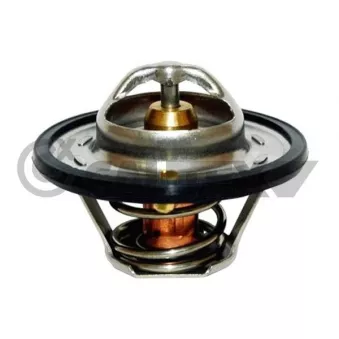 Thermostat, liquide de refroidissement CAUTEX