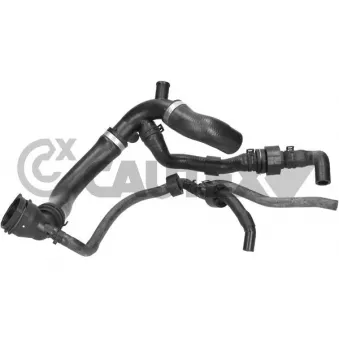 Durite de radiateur CAUTEX 770896