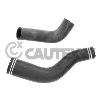 Durite de radiateur CAUTEX 771027