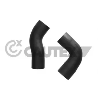 Durite de radiateur CAUTEX 771029