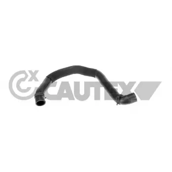 Durite de radiateur CAUTEX 771256
