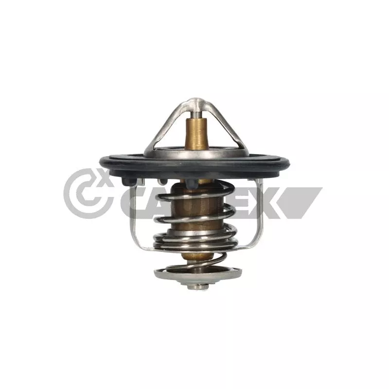 Thermostat, liquide de refroidissement CAUTEX 771483