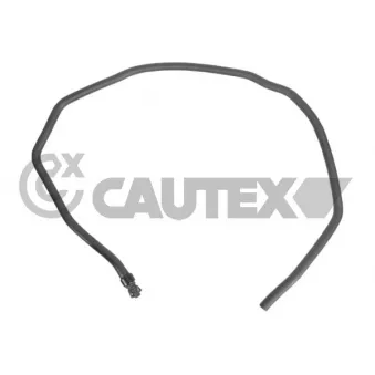 Durite de radiateur CAUTEX