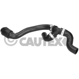 Durite de radiateur CAUTEX 771617