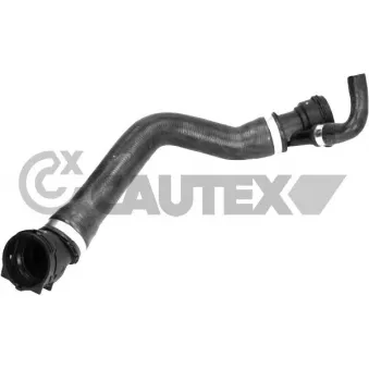 Durite de radiateur CAUTEX 771625