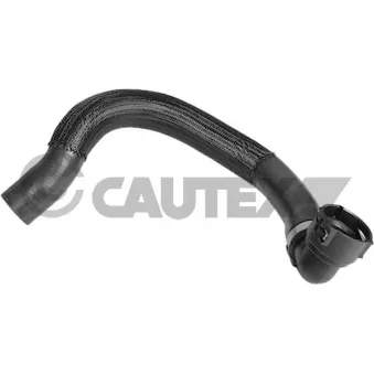 Durite de radiateur CAUTEX 771667