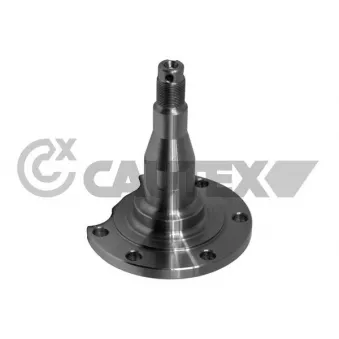Fusée d'essieu, suspension de roue CAUTEX 771745