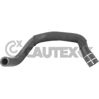 Durite de radiateur CAUTEX 771769