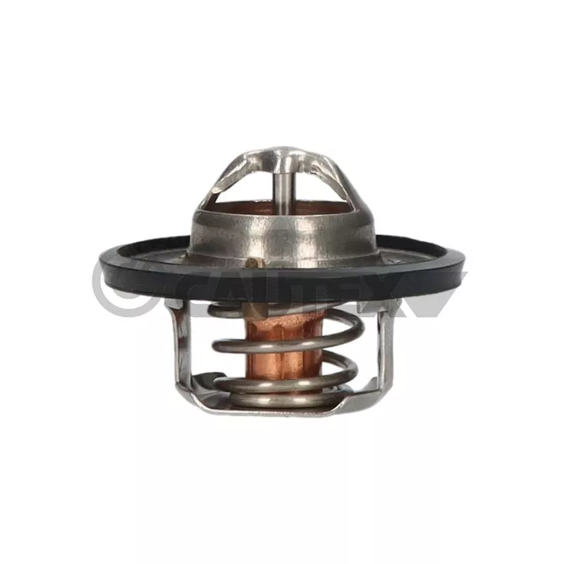 Thermostat, liquide de refroidissement CAUTEX 771867
