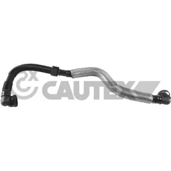 Tuyau, ventilation de carter-moteur CAUTEX 772030