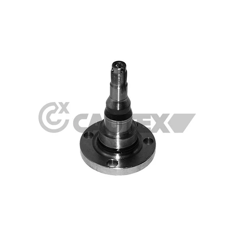 Fusée d'essieu, suspension de roue CAUTEX 772046