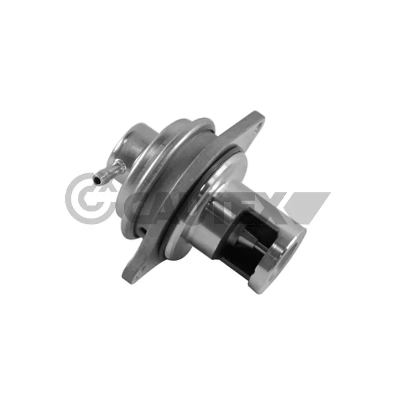 Vanne EGR CAUTEX 772070