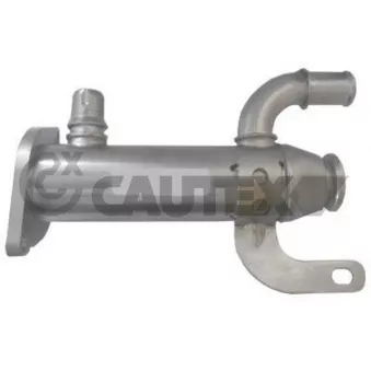 Radiateur, réaspiration des gaz d'échappement CAUTEX 772071