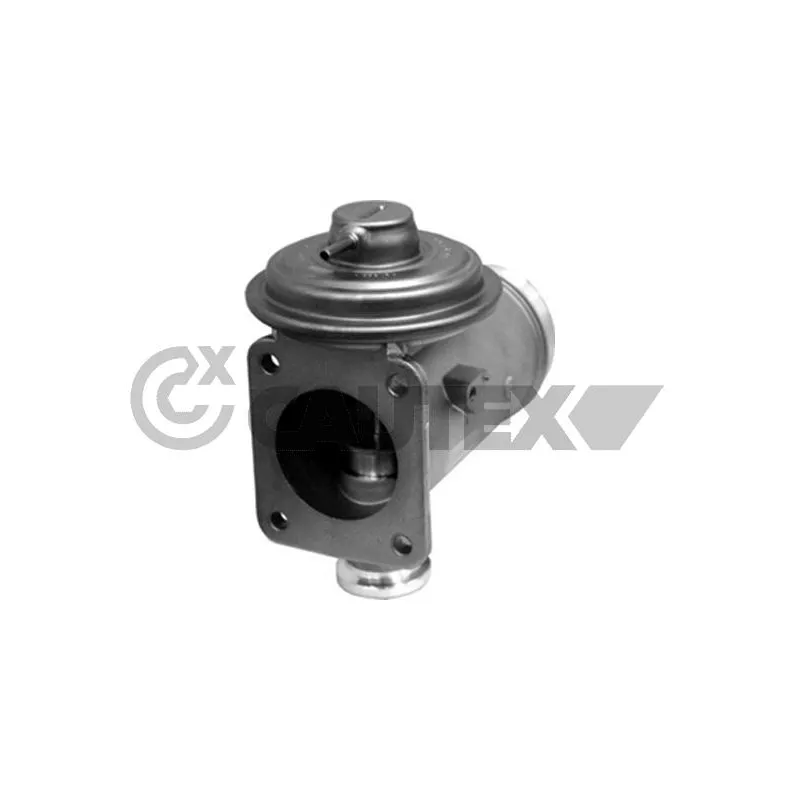 Vanne EGR CAUTEX 772073