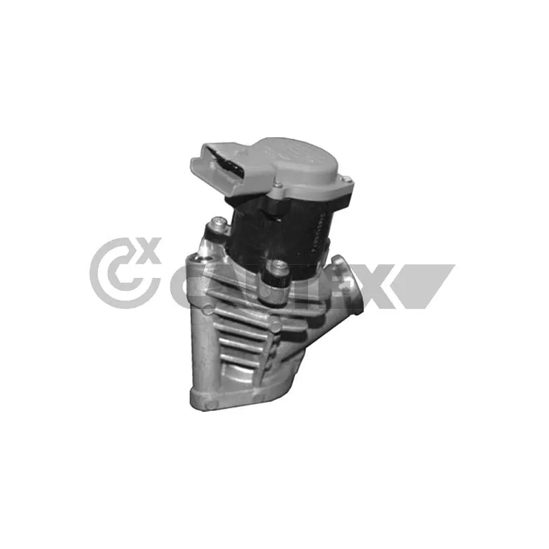 Vanne EGR CAUTEX 772075
