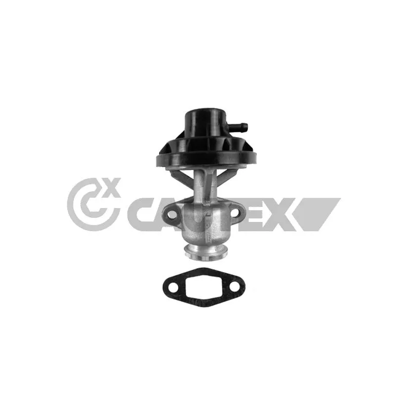 Vanne EGR CAUTEX 772077
