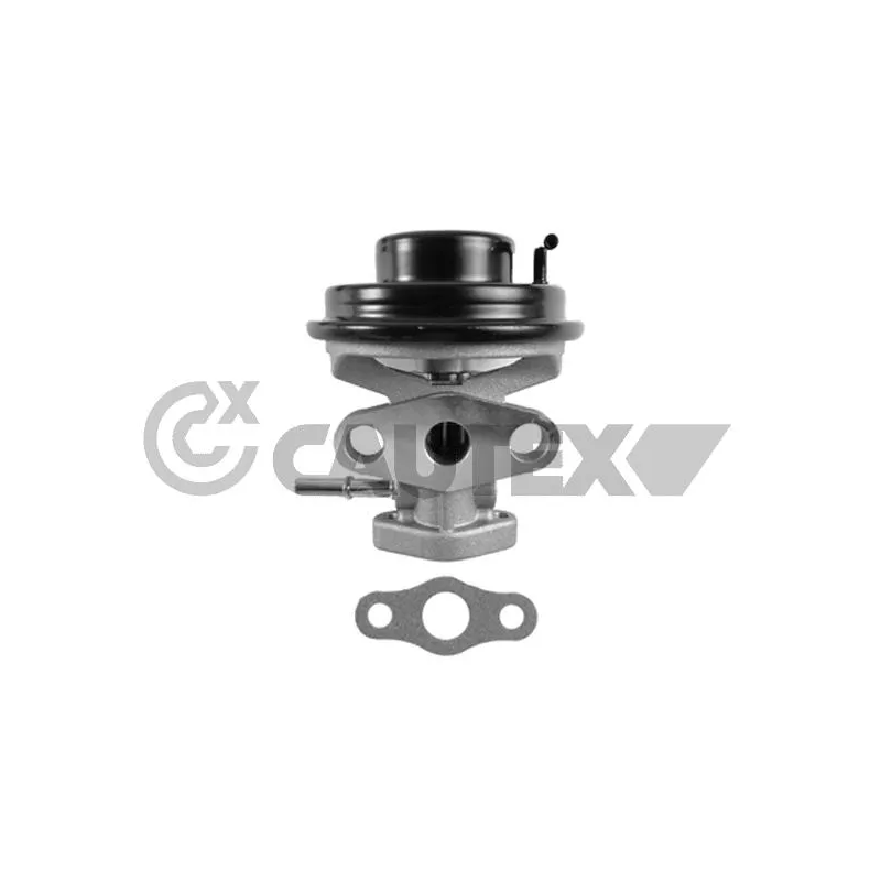 Vanne EGR CAUTEX 772084