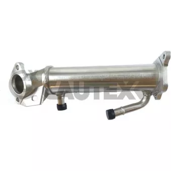 Radiateur, réaspiration des gaz d'échappement CAUTEX 772088